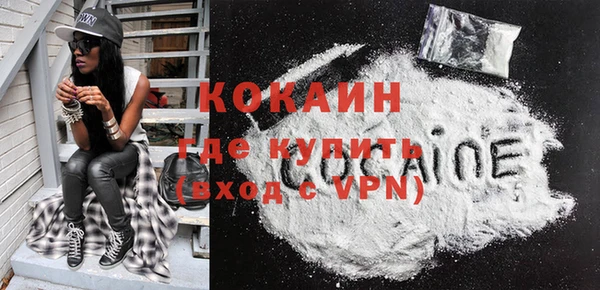 стаф Аркадак