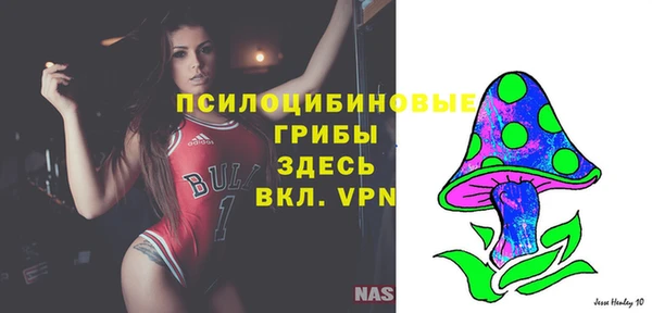 стаф Аркадак