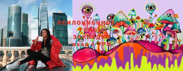 стаф Аркадак
