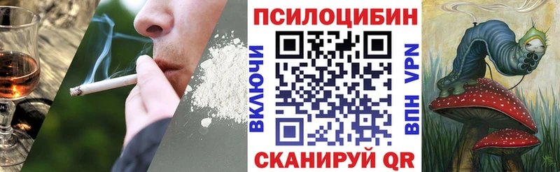 shop клад  Уржум  Галлюциногенные грибы Psilocybe 
